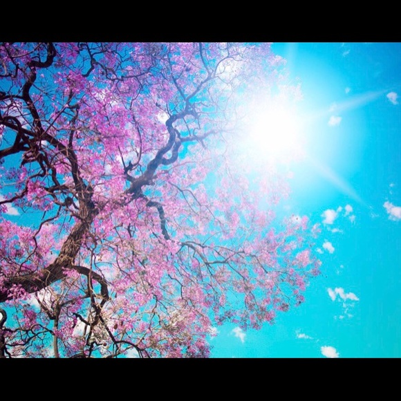 Meet your Posher, Molly - Picture 1 of 1